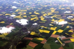 Toulouse, aerial photography, airplane, sky, fields