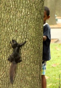 tree, squirrel, child, lake, NYC, central park